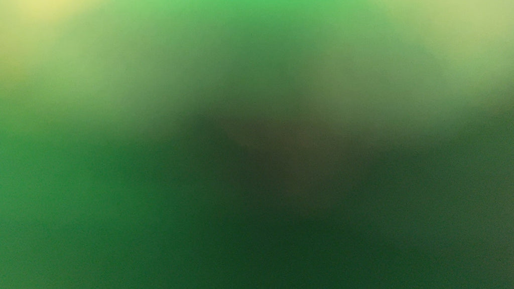 Seiko Nautilus Emerald Green MOD